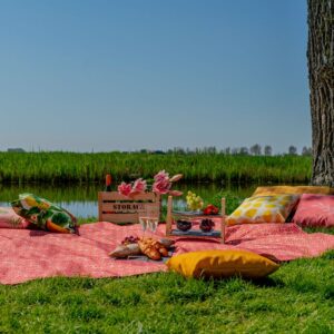 Picknickkleed - Afbeelding 3